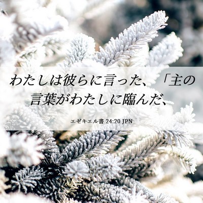 Picture 06 - エゼキエル書 24:20 JPN - わたしは彼らに言った、「主の言葉 - Bible Verse Picture