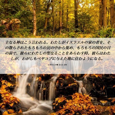 Picture 06 - エゼキエル書 28:25 JPN - 主なる神はこう言われる、わたしが - Bible Verse Picture
