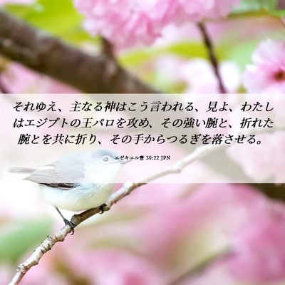 Picture 06 - エゼキエル書 30:22 JPN - それゆえ、主なる神はこう言われる - Bible Verse Picture