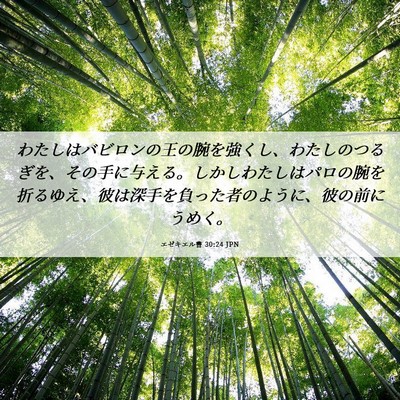 Picture 06 - エゼキエル書 30:24 JPN - わたしはバビロンの王の腕を強くし - Bible Verse Picture