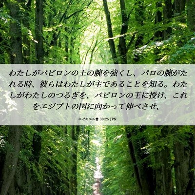 Picture 06 - エゼキエル書 30:25 JPN - わたしがバビロンの王の腕を強くし - Bible Verse Picture