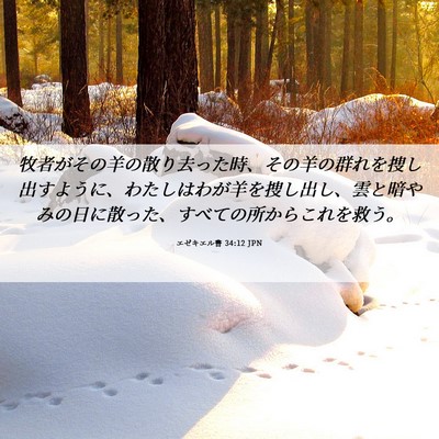 Picture 06 - エゼキエル書 34:12 JPN - 牧者がその羊の散り去った時、その - Bible Verse Picture