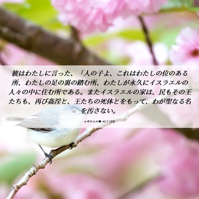 Picture 06 - エゼキエル書 43:7 JPN - 彼はわたしに言った、「人の子よ、 - Bible Verse Picture
