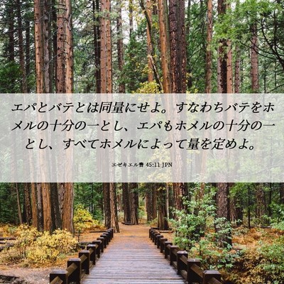 Picture 06 - エゼキエル書 45:11 JPN - エパとバテとは同量にせよ。すなわ - Bible Verse Picture