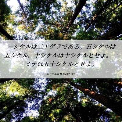 Picture 06 - エゼキエル書 45:12 JPN - 一シケルは二十ゲラである。五シケ - Bible Verse Picture