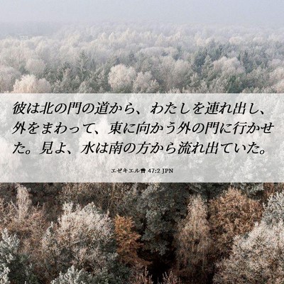 Picture 06 - エゼキエル書 47:2 JPN - 彼は北の門の道から、わたしを連れ - Bible Verse Picture