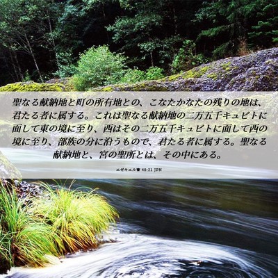 Picture 06 - エゼキエル書 48:21 JPN - 聖なる献納地と町の所有地との、こ - Bible Verse Picture