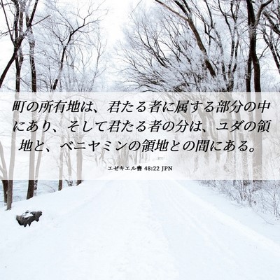 Picture 06 - エゼキエル書 48:22 JPN - 町の所有地は、君たる者に属する部 - Bible Verse Picture