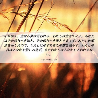 Picture 06 - エゼキエル書 5:11 JPN - それゆえ、主なる神は言われる、わ - Bible Verse Picture