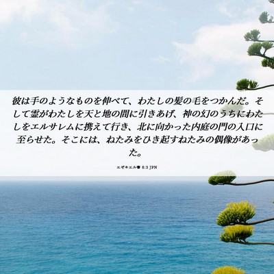 Picture 06 - エゼキエル書 8:3 JPN - 彼は手のようなものを伸べて、わた - Bible Verse Picture