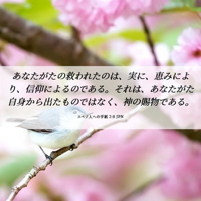 Picture 06 - エペソ人への手紙 2:8 JPN - あなたがたの救われたのは、実に、 - Bible Verse Picture