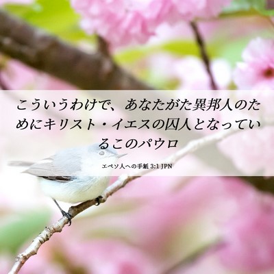 Picture 06 - エペソ人への手紙 3:1 JPN - こういうわけで、あなたがた異邦人 - Bible Verse Picture