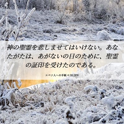 Picture 06 - エペソ人への手紙 4:30 JPN - 神の聖霊を悲しませてはいけない。 - Bible Verse Picture