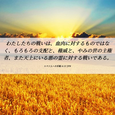 Picture 06 - エペソ人への手紙 6:12 JPN - わたしたちの戦いは、血肉に対する - Bible Verse Picture