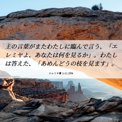 Picture 06 - エレミヤ書 1:11 JPN - 主の言葉がまたわたしに臨んで言う - Bible Verse Picture
