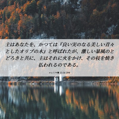 Picture 06 - エレミヤ書 11:16 JPN - 主はあなたを、かつては『良い実の - Bible Verse Picture