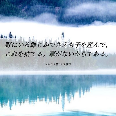 Picture 06 - エレミヤ書 14:5 JPN - 野にいる雌じかでさえも子を産んで - Bible Verse Picture