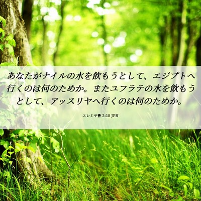 Picture 06 - エレミヤ書 2:18 JPN - あなたがナイルの水を飲もうとして - Bible Verse Picture