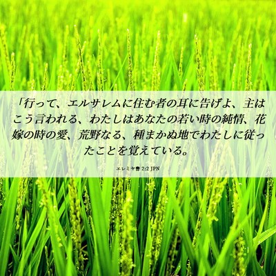 Picture 06 - エレミヤ書 2:2 JPN - 「行って、エルサレムに住む者の耳 - Bible Verse Picture