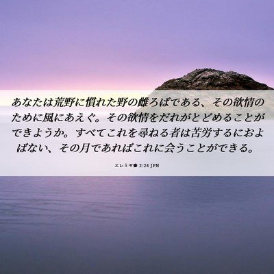 Picture 06 - エレミヤ書 2:24 JPN - あなたは荒野に慣れた野の雌ろばで - Bible Verse Picture