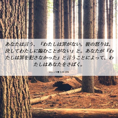 Picture 06 - エレミヤ書 2:35 JPN - あなたは言う、『わたしは罪がない - Bible Verse Picture