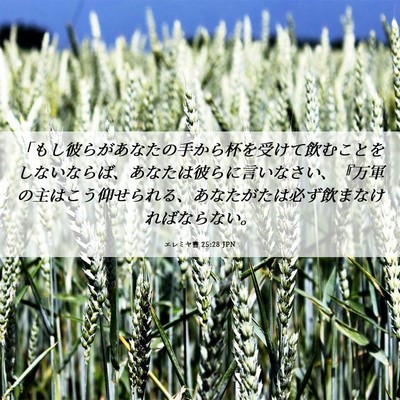 Picture 06 - エレミヤ書 25:28 JPN - 「もし彼らがあなたの手から杯を受 - Bible Verse Picture
