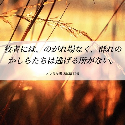 Picture 06 - エレミヤ書 25:35 JPN - 牧者には、のがれ場なく、群れのか - Bible Verse Picture