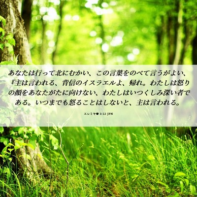 Picture 06 - エレミヤ書 3:12 JPN - あなたは行って北にむかい、この言 - Bible Verse Picture