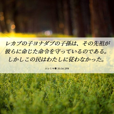 Picture 06 - エレミヤ書 35:16 JPN - レカブの子ヨナダブの子孫は、その - Bible Verse Picture