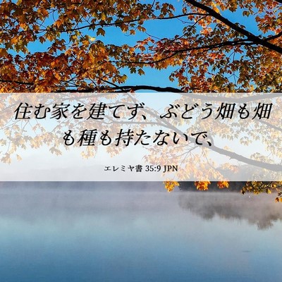Picture 06 - エレミヤ書 35:9 JPN - 住む家を建てず、ぶどう畑も畑も種 - Bible Verse Picture