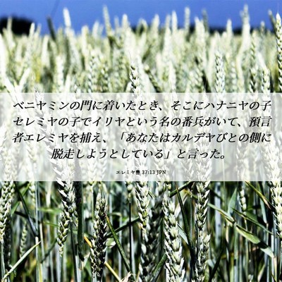 Picture 06 - エレミヤ書 37:13 JPN - ベニヤミンの門に着いたとき、そこ - Bible Verse Picture