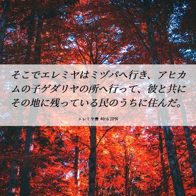 Picture 06 - エレミヤ書 40:6 JPN - そこでエレミヤはミヅパへ行き、ア - Bible Verse Picture