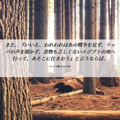 Picture 06 - エレミヤ書 42:14 JPN - また、『いいえ、われわれはあの戦 - Bible Verse Picture