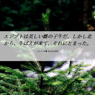 Picture 06 - エレミヤ書 46:20 JPN - エジプトは美しい雌の子牛だ、しか - Bible Verse Picture