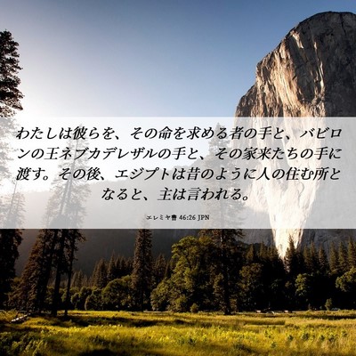 Picture 06 - エレミヤ書 46:26 JPN - わたしは彼らを、その命を求める者 - Bible Verse Picture