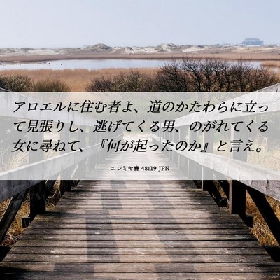Picture 06 - エレミヤ書 48:19 JPN - アロエルに住む者よ、道のかたわら - Bible Verse Picture