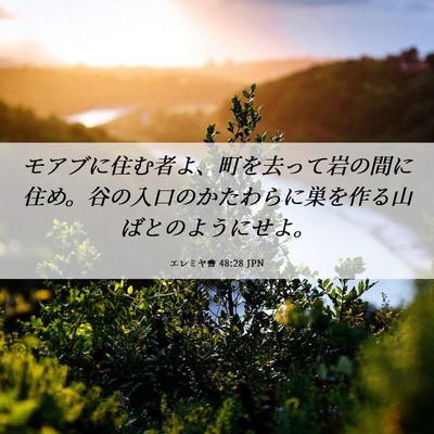 Picture 06 - エレミヤ書 48:28 JPN - モアブに住む者よ、町を去って岩の - Bible Verse Picture