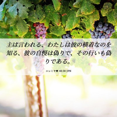 Picture 06 - エレミヤ書 48:30 JPN - 主は言われる、わたしは彼の横着な - Bible Verse Picture