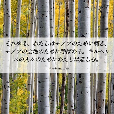 Picture 06 - エレミヤ書 48:31 JPN - それゆえ、わたしはモアブのために - Bible Verse Picture