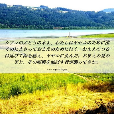 Picture 06 - エレミヤ書 48:32 JPN - シブマのぶどうの木よ、わたしはヤ - Bible Verse Picture