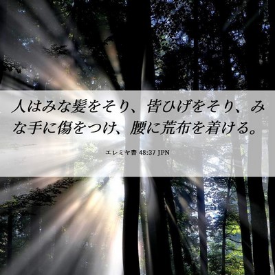 Picture 06 - エレミヤ書 48:37 JPN - 人はみな髪をそり、皆ひげをそり、 - Bible Verse Picture