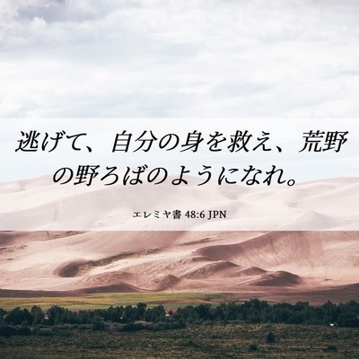 Picture 06 - エレミヤ書 48:6 JPN - 逃げて、自分の身を救え、荒野の野 - Bible Verse Picture