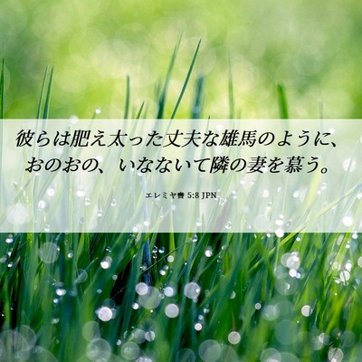 Picture 06 - エレミヤ書 5:8 JPN - 彼らは肥え太った丈夫な雄馬のよう - Bible Verse Picture