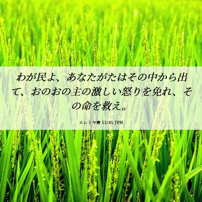Picture 06 - エレミヤ書 51:45 JPN - わが民よ、あなたがたはその中から - Bible Verse Picture