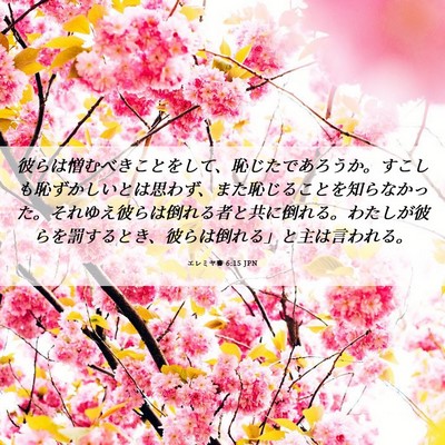 Picture 06 - エレミヤ書 6:15 JPN - 彼らは憎むべきことをして、恥じた - Bible Verse Picture