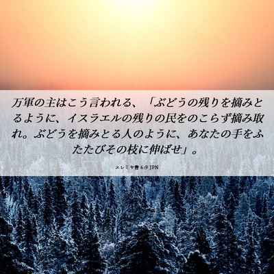 Picture 06 - エレミヤ書 6:9 JPN - 万軍の主はこう言われる、「ぶどう - Bible Verse Picture