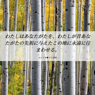 Picture 06 - エレミヤ書 7:7 JPN - わたしはあなたがたを、わたしが昔 - Bible Verse Picture