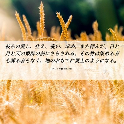 Picture 06 - エレミヤ書 8:2 JPN - 彼らの愛し、仕え、従い、求め、ま - Bible Verse Picture