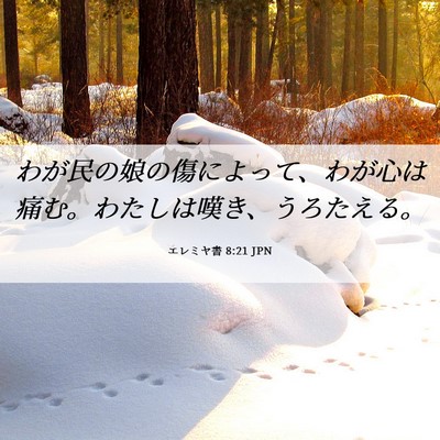 Picture 06 - エレミヤ書 8:21 JPN - わが民の娘の傷によって、わが心は - Bible Verse Picture