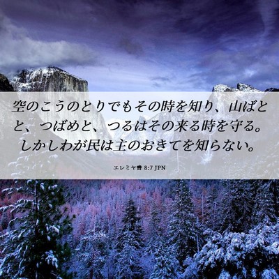 Picture 06 - エレミヤ書 8:7 JPN - 空のこうのとりでもその時を知り、 - Bible Verse Picture